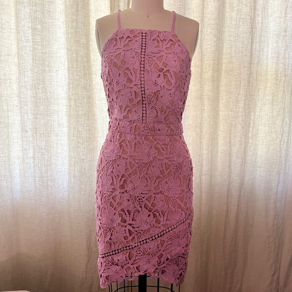 Greylin XS Lavender Lace Dress NWT